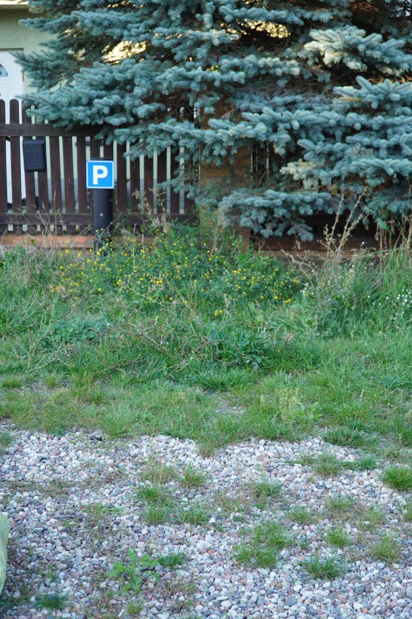Apartament Paderewski Poznan Ngoại thất bức ảnh
